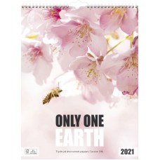 Burde Only one earth