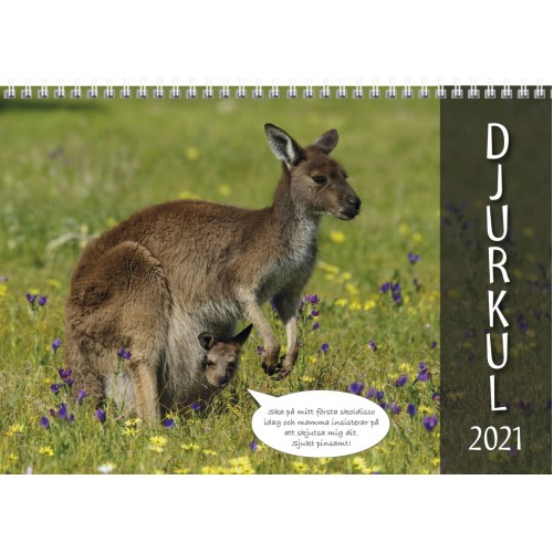 Burde Djurkul