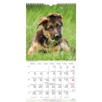Burde Liten Hundkalender