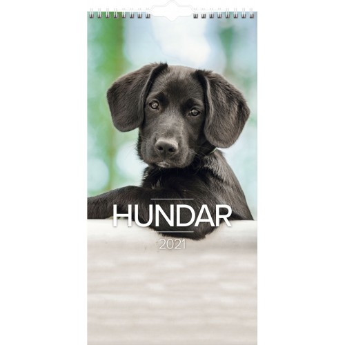 Burde Liten Hundkalender