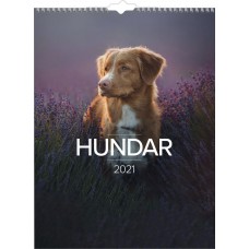 Burde Stora Hundkalendern