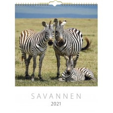 Burde Savannen