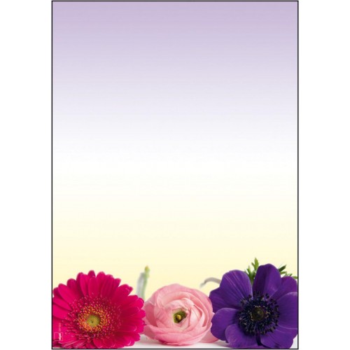 Motivpapper Sigel Flower Harmony DP003 A4 90gram, 50 ark/fp