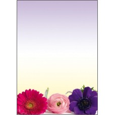 Motivpapper Sigel Flower Harmony DP003 A4 90gram, 50 ark/fp Motivpapper Sigel Flower Harmony DP003 A4 90gram, 50 ark/fp