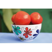 Porslinsmålningspennor/Glasmålningspennor Marabu Porcelain & Glas Painter Universal, Summer, 1-2mm, 5 färger/fp