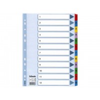 Pärmregister Esselte 100162 A4, 1-12 dubbelsidig 1/fp