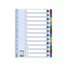 Pärmregister Esselte (100162) A4, 1-12 dubbelsidig 1/fp