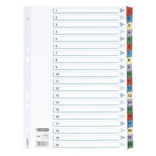 Pärmregister Esselte 100163 A4, 1-20 dubbelsidig 1/fp