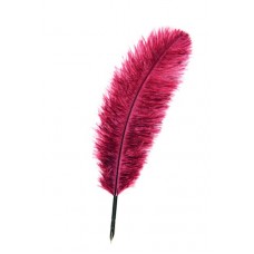 Fjäderpenna/Kalligrafipenna Manuscript Quill Pen Ostrich Vinröd