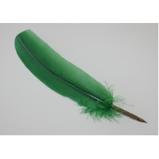 Fjäderpenna/Kalligrafipenna Manuscript Quill Pen Grön