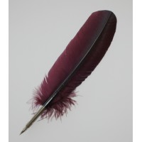 Fjäderpenna/Kalligrafipenna Manuscript Quill Pen Vinröd