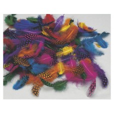 Pärlhönsfjädrar, blandade färger, 100/fp (för påskpynt mm)