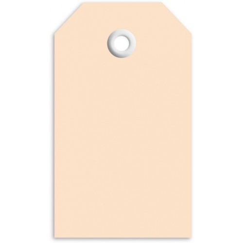 Adresslappar av kartong 35x60mm med plastförstärkning 1000/fp Adresslappar av kartong 35x60mm med plastförstärkning 1000/fp