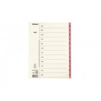 Pärmregister / Månadsregister Servo 69878 papper A4, månaderna Jan-Dec (Januari-December) Rosa 1/fp