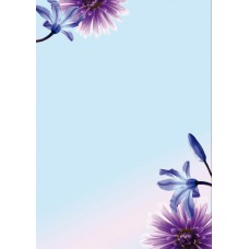 Motivpapper Sigel Blue Emotion DP903 A4 90gram, 50 ark/fp Motivpapper Sigel Blue Emotion DP903 A4 90gram, 50 ark/fp