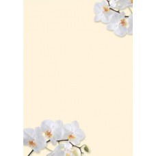 Motivpapper Sigel White Orchid DP904 A4 90gram, 50 ark/fp Motivpapper Sigel White Orchid DP904 A4 90gram, 50 ark/fp