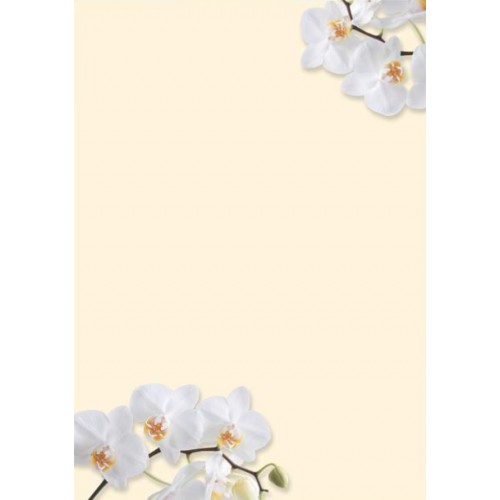 Motivpapper Sigel White Orchid DP904 A4 90gram, 50 ark/fp